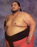 Yokozuna7