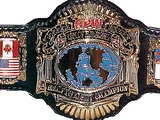 APW Universal Heavyweight Championship