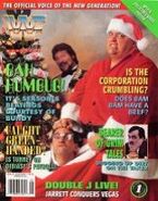 WWE Magazine, January 1995