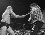 SummerSlam 2006.20.jpg (35 KB)