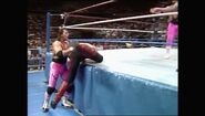 WWF WrestleFest 1991.00029