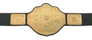 (WCW, Flat Main Plate) World Heavyweight Championship (1991 - 2003, WCW, WWF/E)