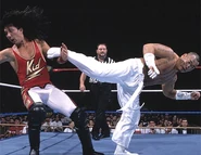 SummerSlam 1995.5.jpg (30 KB)