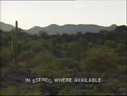 Wrestlewar 1991 1.jpg (42 KB)