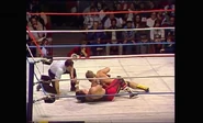 5.19.86 Prime Time Wrestling.00011.jpg (78 KB)