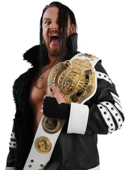 IWGP Global Heavyweight Championship/Champion gallery Pro Wrestling