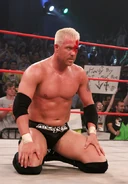 Slammiversary 2010 13.jpg (114 KB)