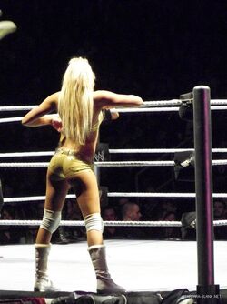 WWE House Show (Jan 20, 12') | Pro Wrestling | Fandom