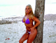 Divas Tropical Pleasure 59