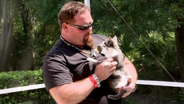 Divas on Overdrive.6