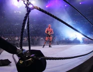 Royal Rumble 2006.32.jpg (37 KB)