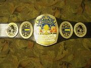 NWA Bahamas Champion (2)