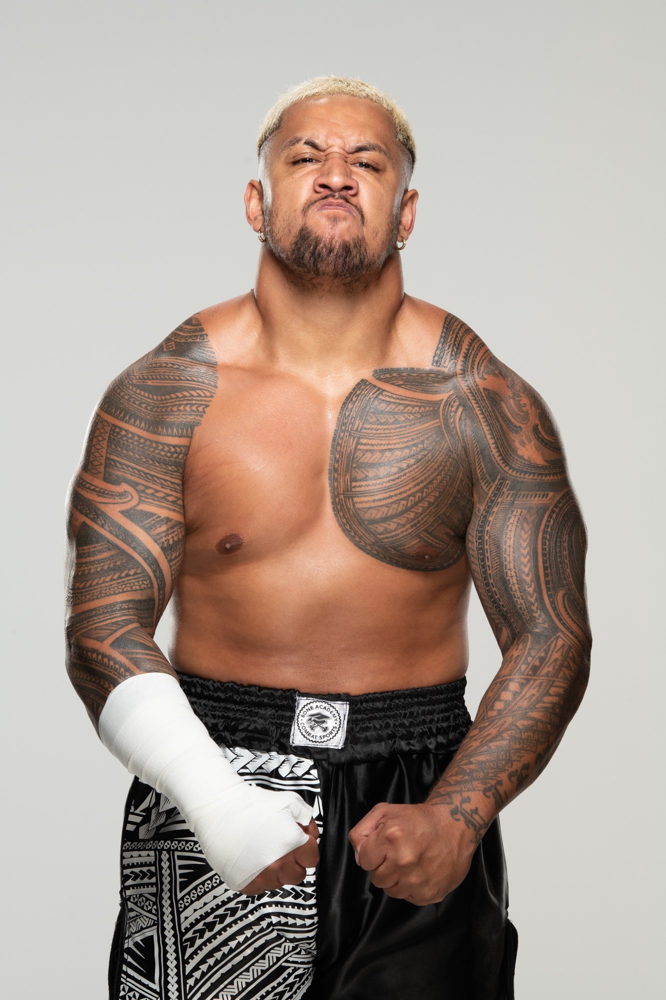 The Rock, Pro Wrestling Wiki