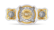 WWE Women's Tag Team Championship