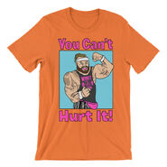 Bray Wyatt You Can't Hurt It T-Shirt