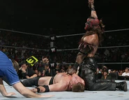 Royal Rumble 2006.50.jpg (40 KB)