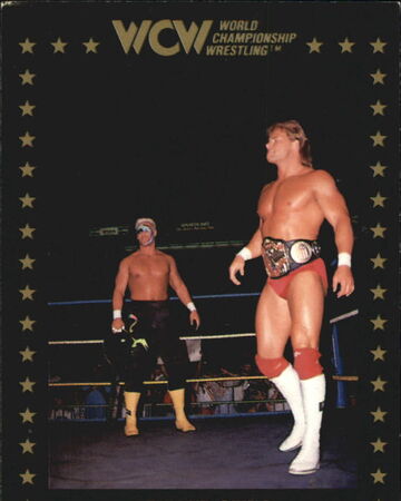 1991 WCW Collectible Trading Cards (Championship Marketing) Lex Sting (No.37) | Pro Wrestling |