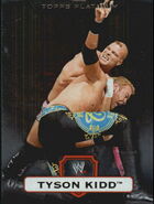 2010 WWE Platinum Trading Cards Tyson Kidd 91