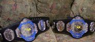 FCW Tag Team Championship