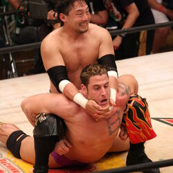 Category Professional Wrestling Moves Pro Wrestling Fandom