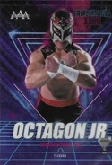 2024 AAA Triplemanía XXXII Tijuana Octagon Jr.