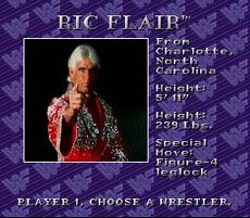 301037-wwf-royal-rumble-snes-screenshot-natureboy-ric-flairs