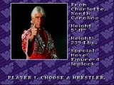 WWF Royal Rumble (video game)/Roster