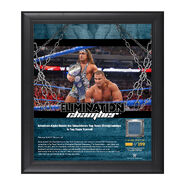 American Alpha Elimination Chamber 2017 15 x 17 Framed Plaque w Ring Canvas
