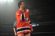 ROH Revolution Canada 2