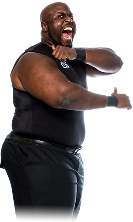Shane Taylor ROH