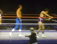 TNT 50 2.jpg (59 KB)