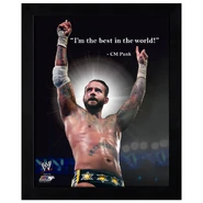 CM Punk ProQuote Photo