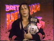 January 2, 1993 WWF Superstars of Wrestling.00013.jpg (33 KB)