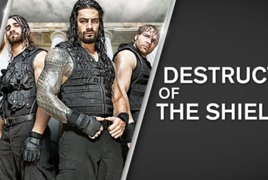 Destruction Of The Shield | Pro Wrestling | Fandom