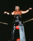 Kevin Nash8