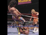 Royal Rumble 1990.2