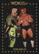 1991 WCW Collectible Trading Cards (Championship Marketing) Sting and Lex 40