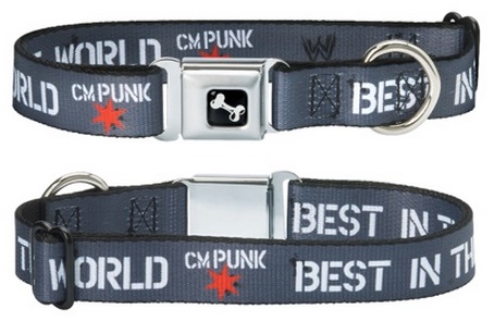 wwe dog collar