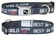 CM Punk "Best In The World" Dog Collar