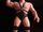 Wrestling Superstars (Series 5)