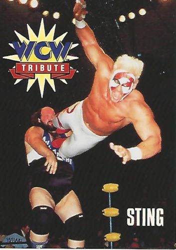 wcw sting 1995