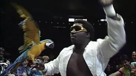 Foundations Of War.00001