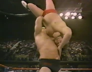 1.16.88 WWF Superstars.00007.jpg (62 KB)