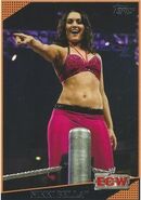 2009 WWE (Topps) Nikki Bella 78