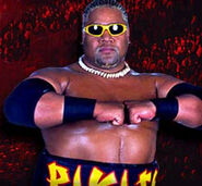 Rikishi bio