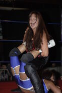 SHIMMER 27 3