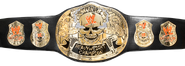 "Stone Cold" Steve Austin's Smoking Skulls Belt (1998/1999)