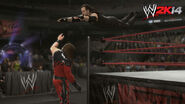 WWE 2K14 Screenshot.48