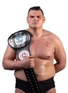 WALTER 2nd Champion (May 28, 2018 - December 3, 2018)