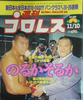 Weekly Pro Wrestling 883